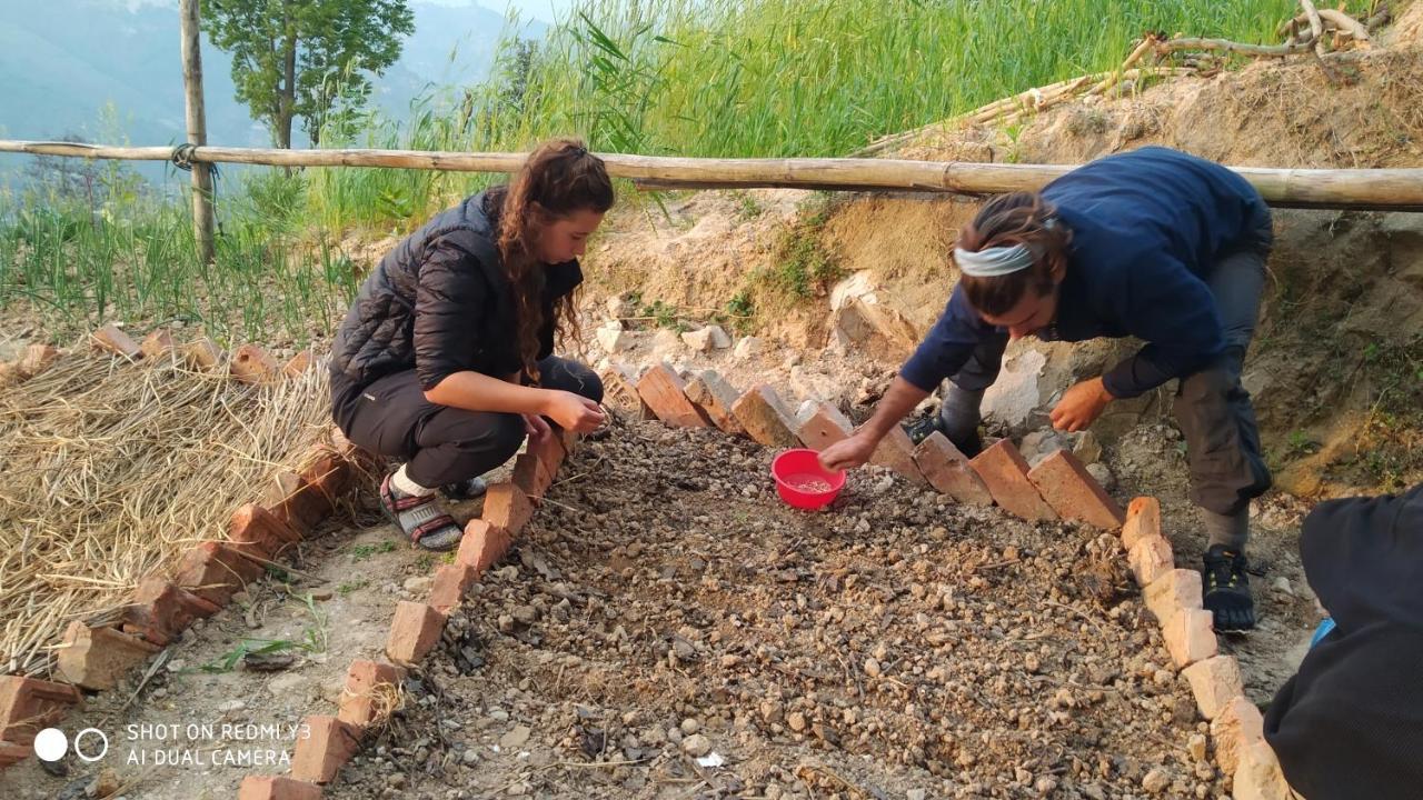 Patlekhet Eco Farmhouse 图利凯尔 外观 照片