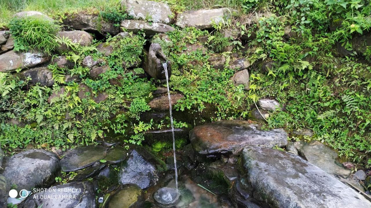 Patlekhet Eco Farmhouse 图利凯尔 外观 照片