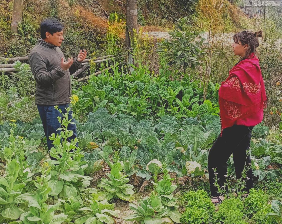 Patlekhet Eco Farmhouse 图利凯尔 外观 照片