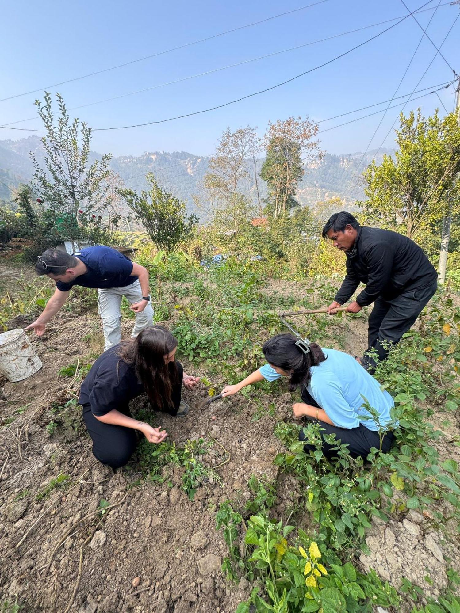 Patlekhet Eco Farmhouse 图利凯尔 外观 照片